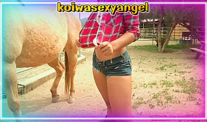Porn Free Cowgirls