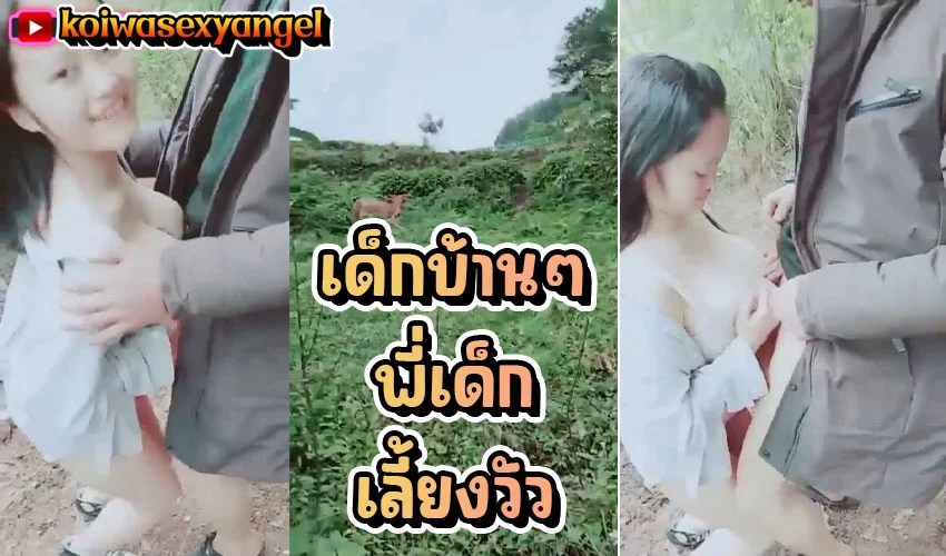 เด็กบ้านๆสาวสุดร่านเดินเข้าป่าไปโม๊คควยให้เด็กเลี้ยงวัว นมใหญ่ของแทร่ ยืนเย็ดท่าหมา